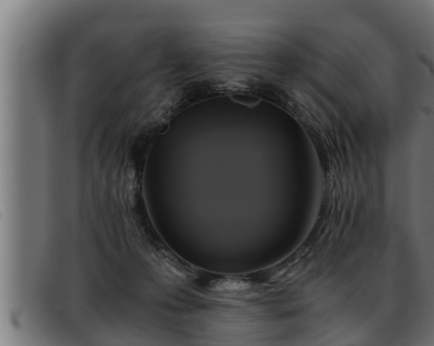 X0000093490223200710121513