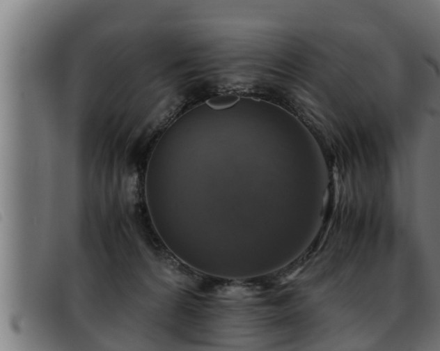 X0000093490224200710121513