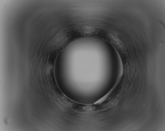 X0000093490225200710121513