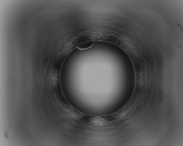 X0000093490226200710121513