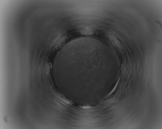 X0000093490229200710121513