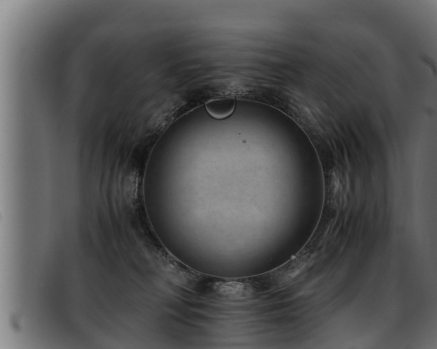 X0000093490230200710121513
