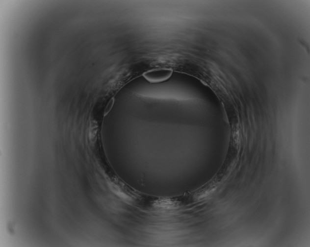 X0000093490231200710121513