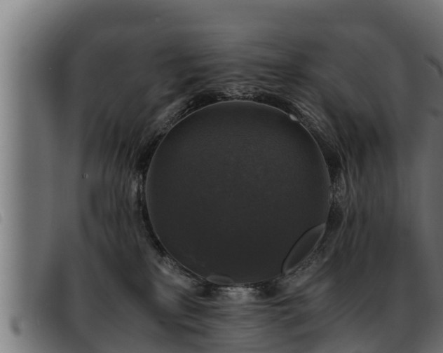 X0000093490233200710121513