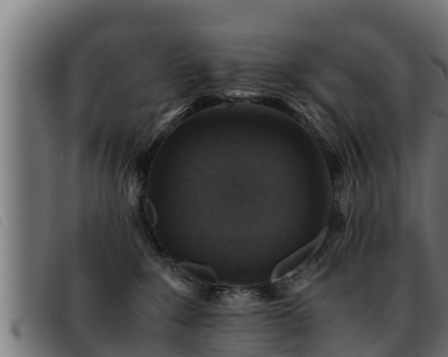 X0000093490235200710121513