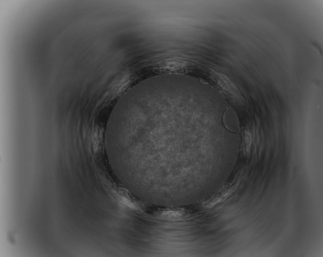 X0000093490236200710121513