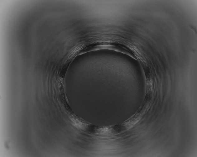 X0000093490237200710121513