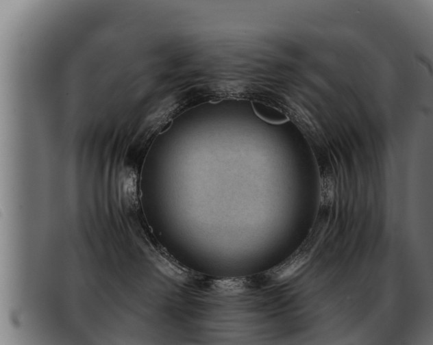 X0000093490238200710121513