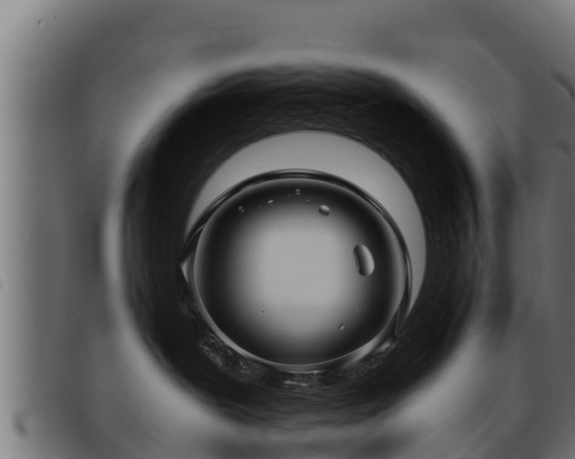 X0000093490239200710121513