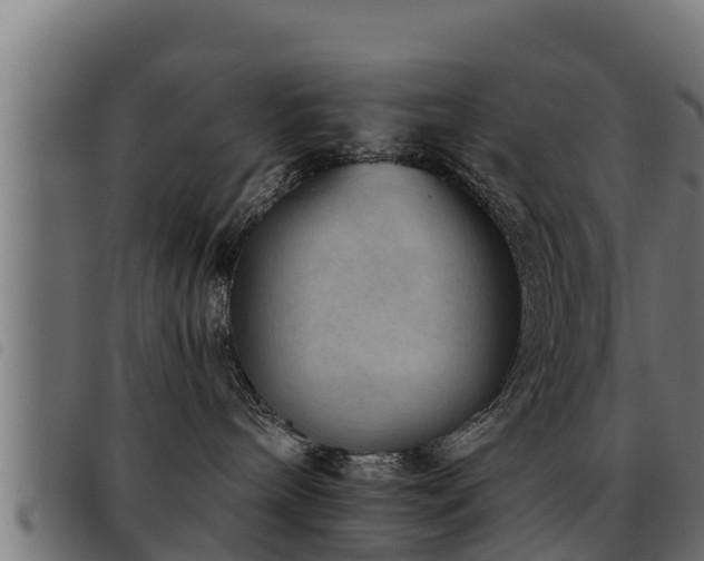 X0000093490240200710121513