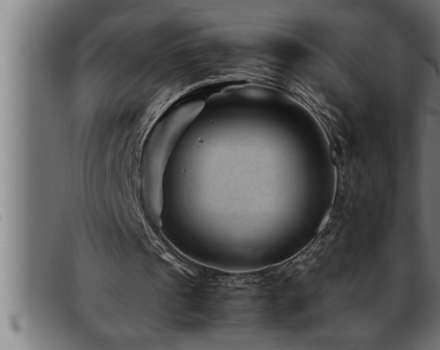 X0000093490241200710121512