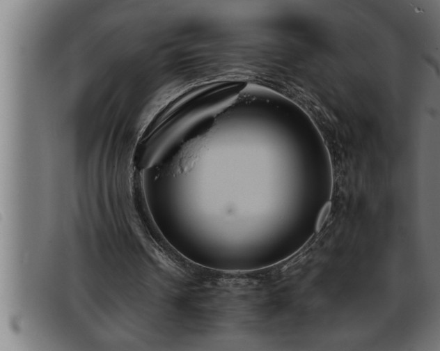 X0000093490242200710121512