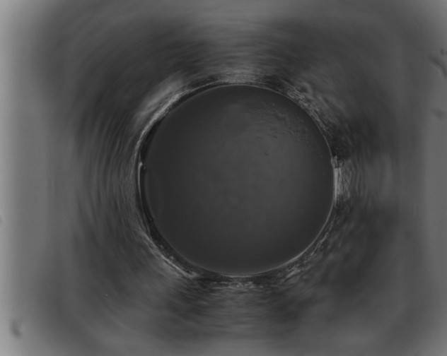 X0000093490243200710121512