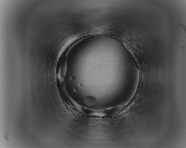 X0000093490244200710121512