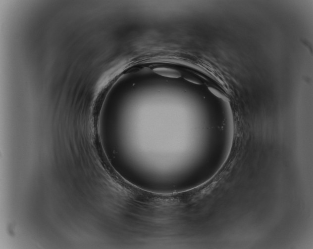 X0000093490245200710121512