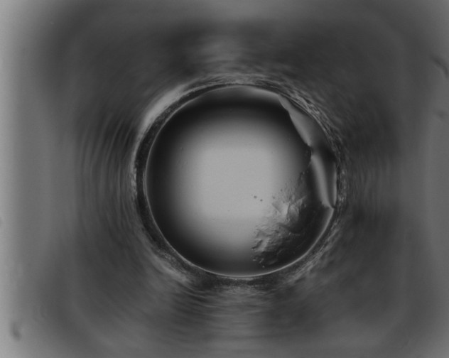X0000093490246200710121512