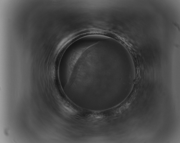 X0000093490247200710121512