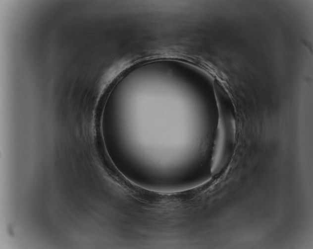 X0000093490248200710121512