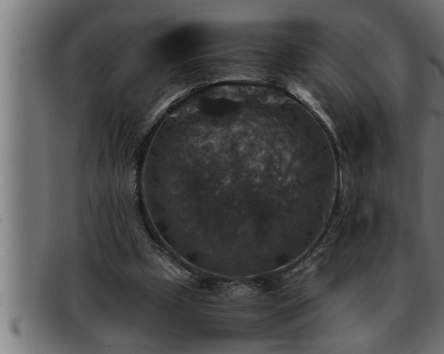 X0000093490249200710121512