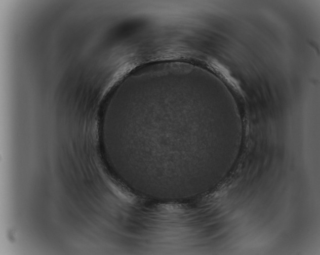 X0000093490250200710121512