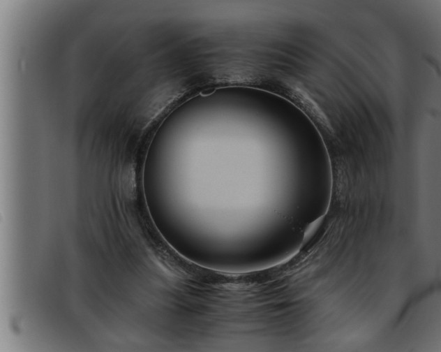 X0000093490251200710121512