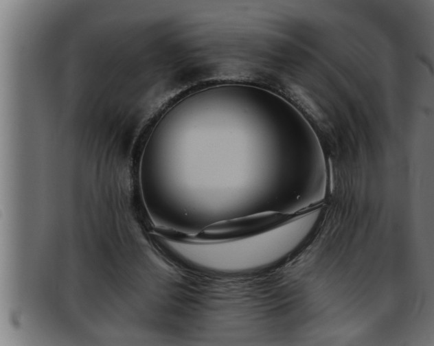 X0000093490252200710121512