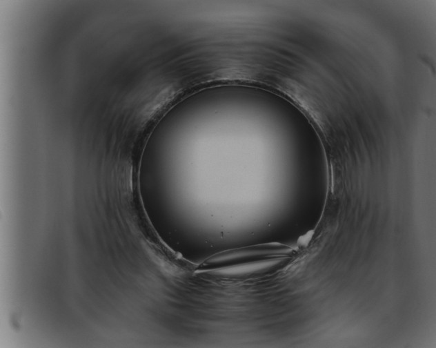 X0000093490253200710121513