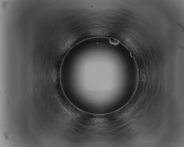 X0000093490255200710121513