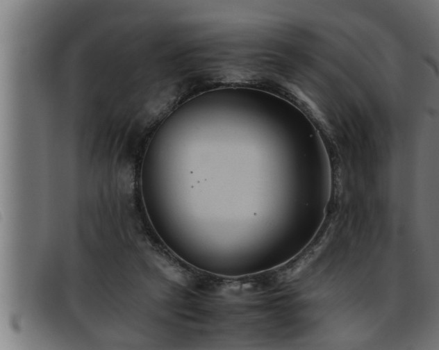 X0000093490257200710121513