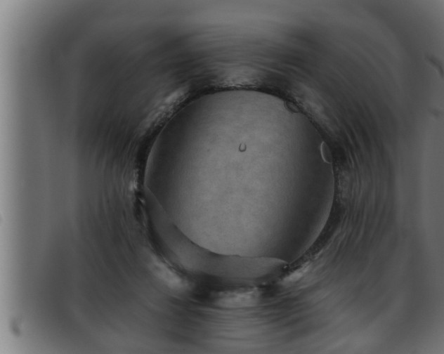 X0000093490260200710121513
