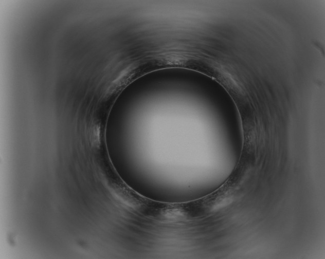 X0000093490262200710121513