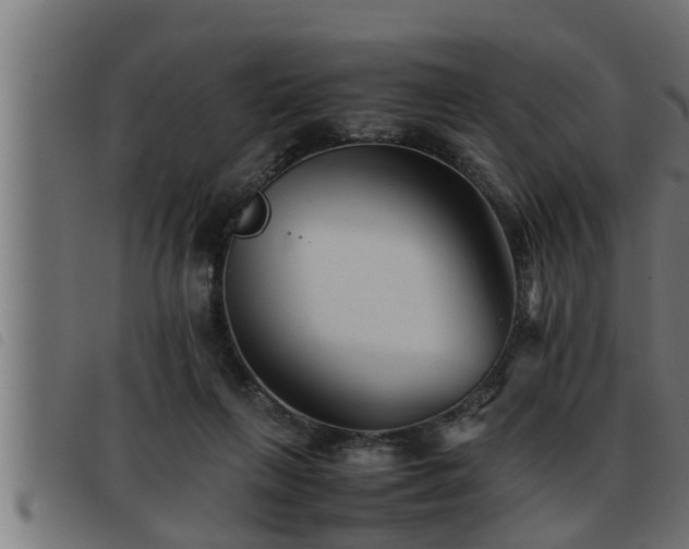 X0000093490263200710121513