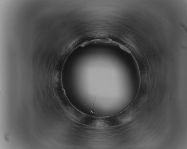 X0000093490264200710121513