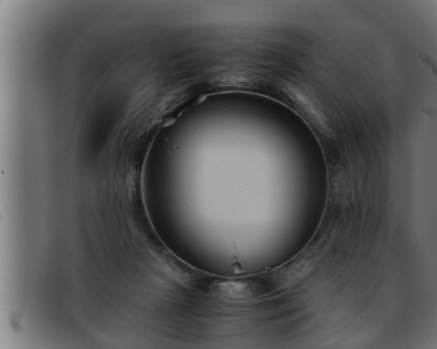 X0000093490265200710121513
