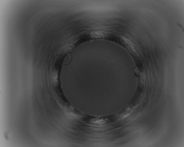 X0000093490267200710121513