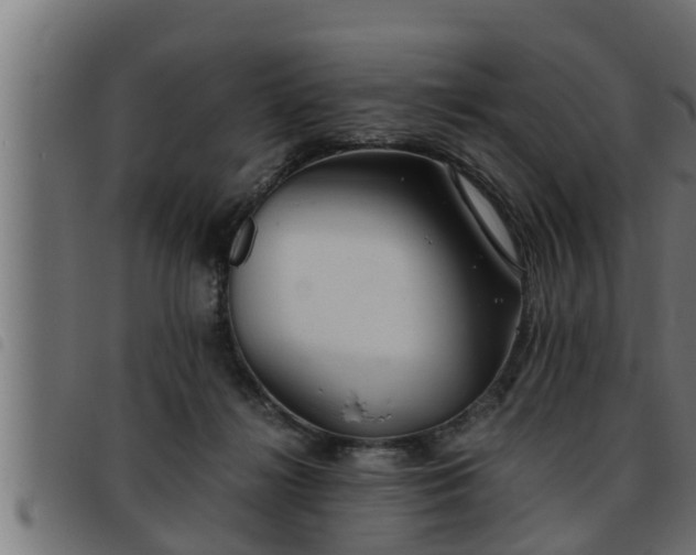 X0000093490268200710121513