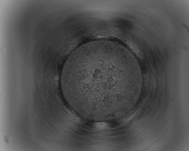 X0000093490269200710121513