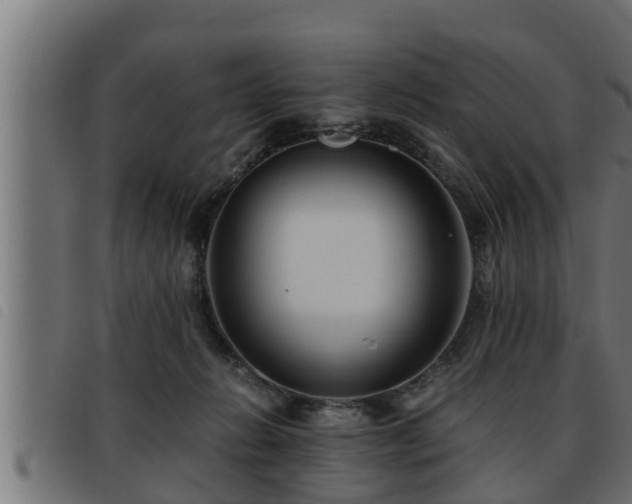X0000093490270200710121513