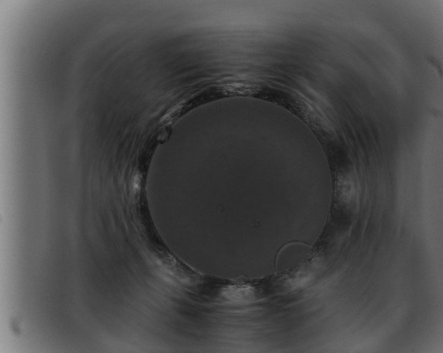 X0000093490271200710121513