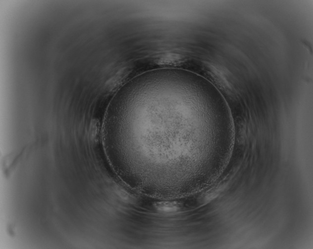 X0000093490273200710121513