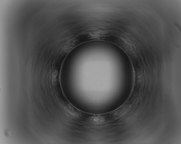 X0000093490275200710121513