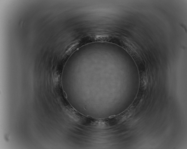 X0000093490276200710121513