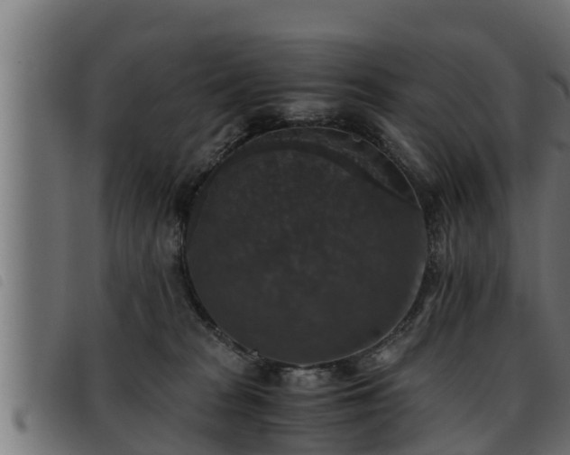 X0000093490277200710121513