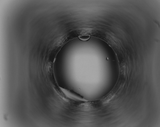 X0000093490280200710121513