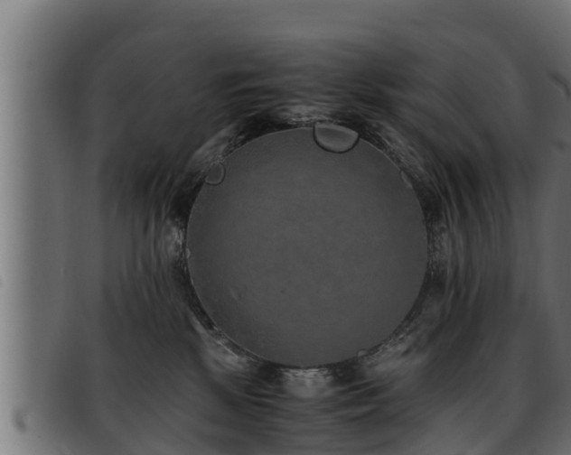 X0000093490281200710121513
