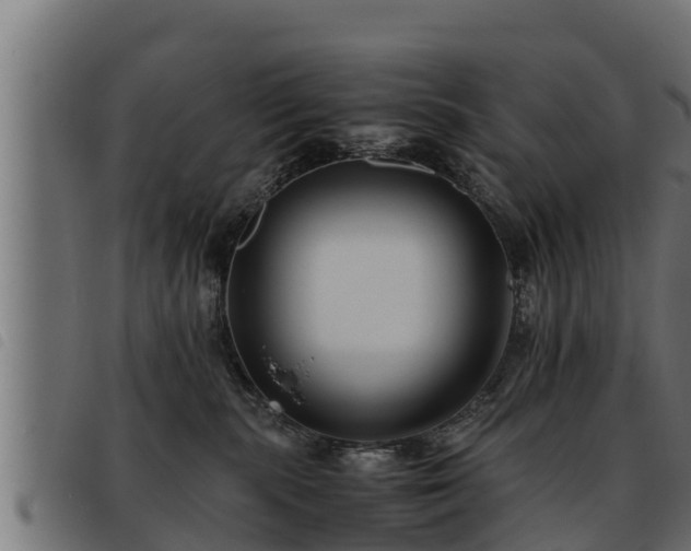 X0000093490283200710121513