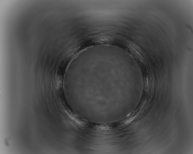 X0000093490284200710121513