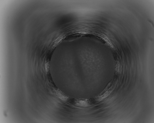 X0000093490285200710121513