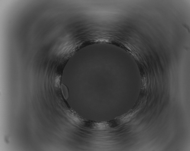 X0000093490286200710121513