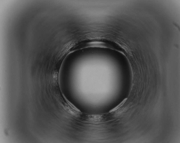 X0000093490288200710121513